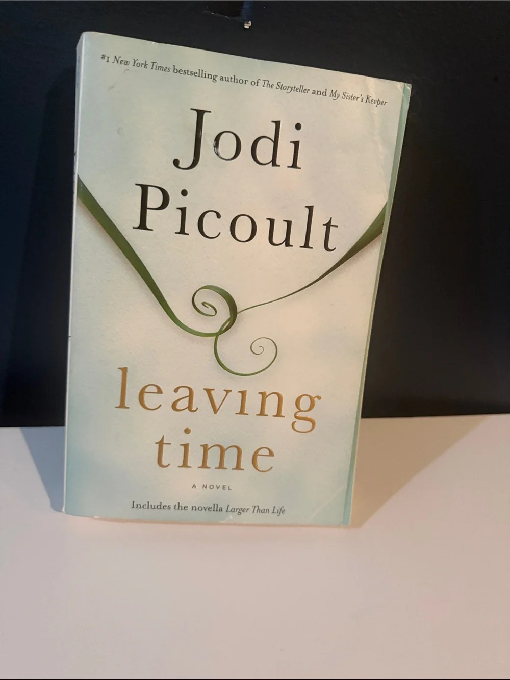 Leaving Time Paperback Book -Jodi Picoult
